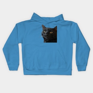 Black Cat With A Funny Quirky Expression Cut Out Kids Hoodie